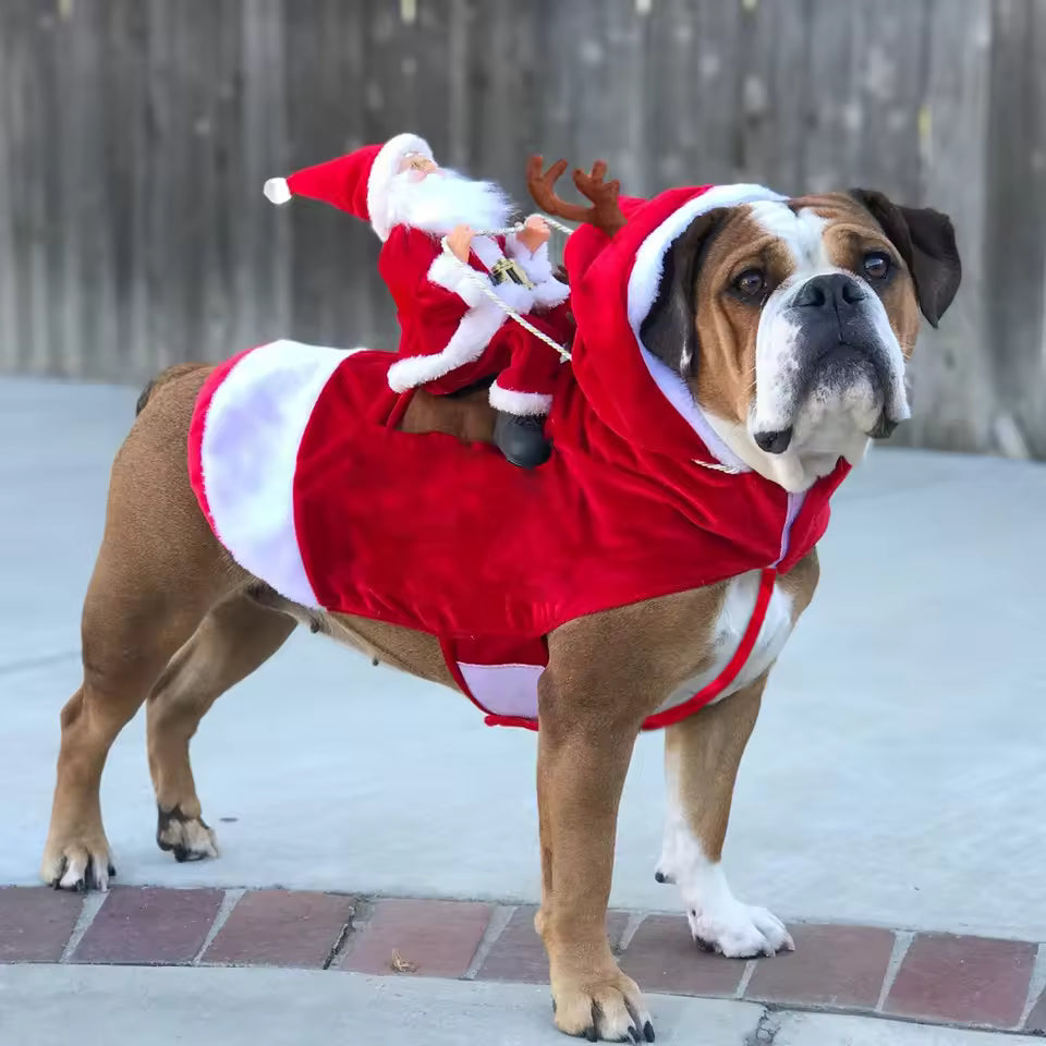Pawstume™ Holiday Sleigh Costume