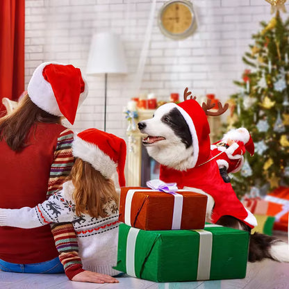 Pawstume™ Holiday Sleigh Costume